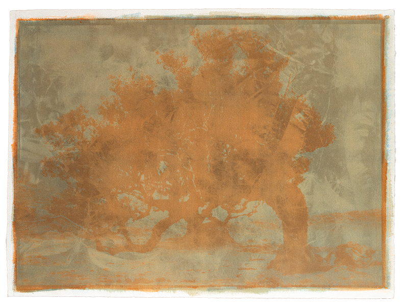 Œuvre d'Isabelle Delvallée