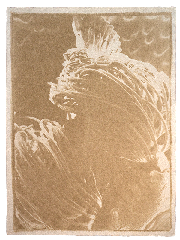Œuvre d'Isabelle Delvallée